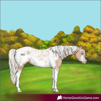Horse Color:Chocolate Palomino Pearl Tobiano Frame  and Chocolate Palomino Pearl Splash Tobiano Frame 