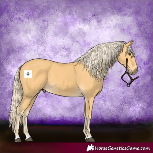 Horse Color:Palomino 