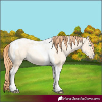 Horse Color:Amber Cream Champagne Ice Pearl Dun Tobiano Rabicano