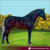 Horse Color:ERROR: UNKNOWN ANOMALY