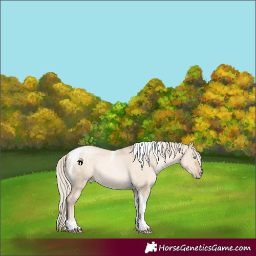 Horse Color:Chocolate Palomino Pearl Dun Tobiano Rabicano