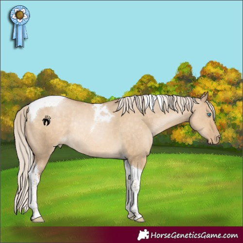 Horse Color:Chocolate Palomino Pearl Dun Tobiano Rabicano