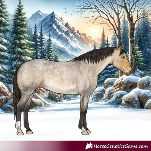 Horse Color:Buckskin Roan Dun Brindle