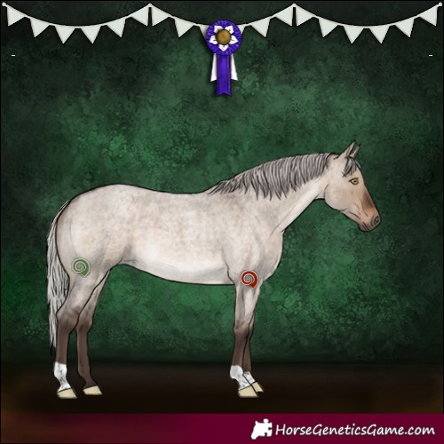 Horse Color:Silver Brown Roan Dun