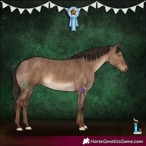 Horse Color:Liver Red Dun Brindle 