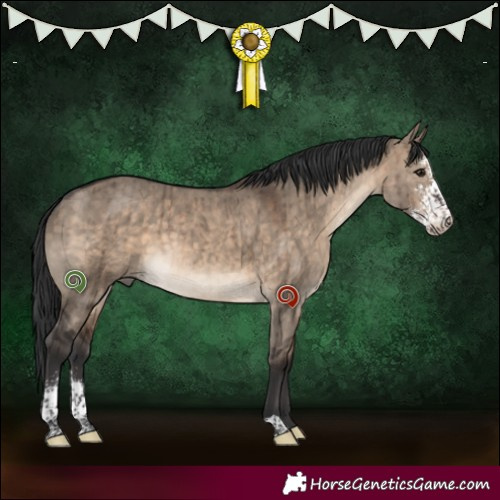 Horse Color:Brown Dun Sabino Brindle