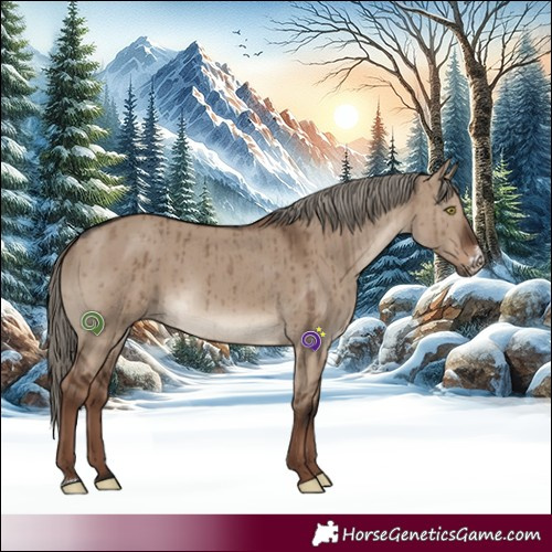 Horse Color:Liver Red Dun Sabino Brindle