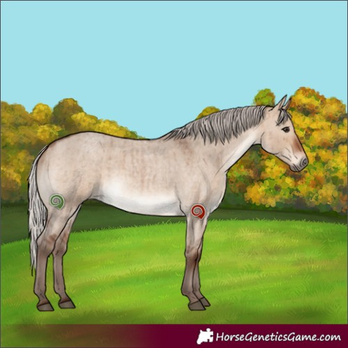 Horse Color:Silver Bay Roan Dun Brindle
