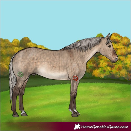 Horse Color:Silver Brown Dun Sabino Brindle 