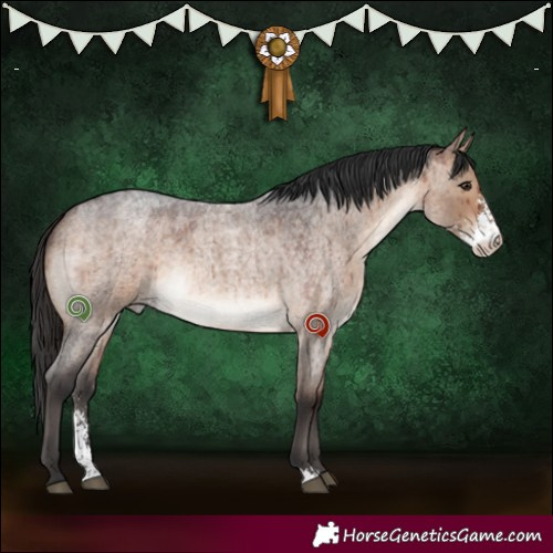 Horse Color:Brown Roan Dun Sabino Brindle 