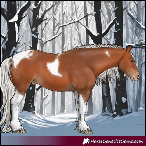 Horse Color:Silver Bay Tobiano Varnish
