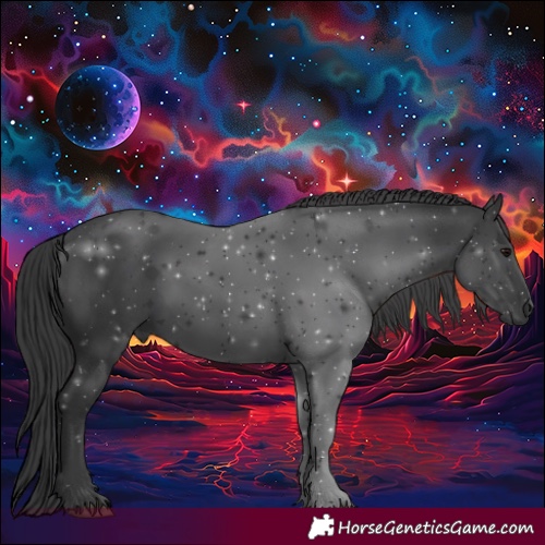 Horse Color:Black 