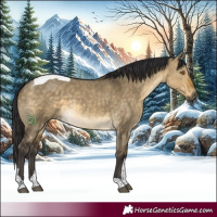 Horse Color:Buckskin Dun Tobiano 