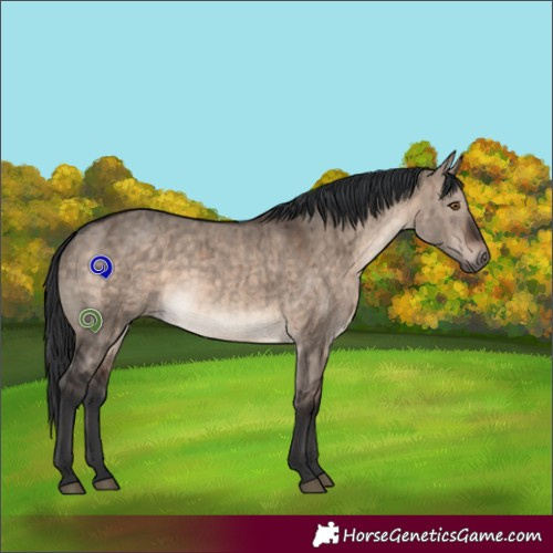 Horse Color:Brown Dun Mushroom Rabicano Brindle 