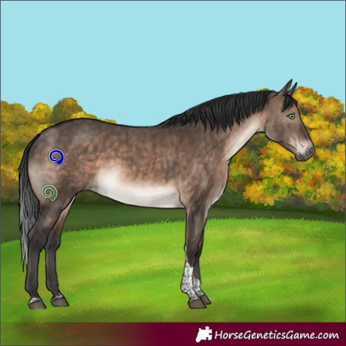 Horse Color:Brown Dun Mushroom Tobiano Brindle