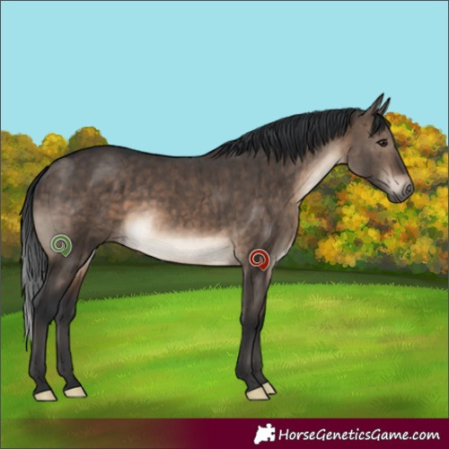 Horse Color:Brown Dun Brindle