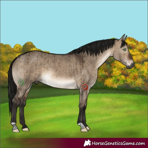 Horse Color:Gray Brown Dun Mushroom Brindle 
