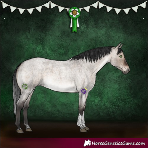 Horse Color:Brown Roan Dun Mushroom Tobiano Brindle 