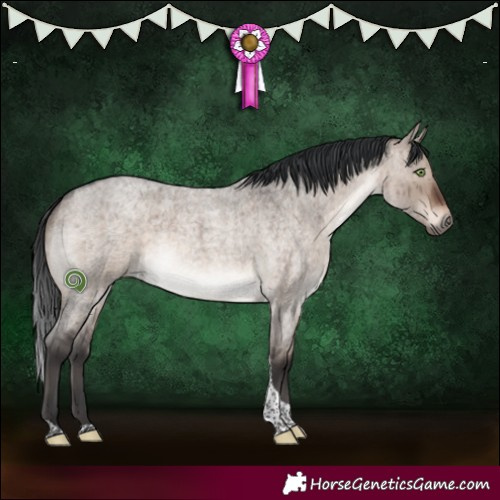 Horse Color:Brown Roan Dun Mushroom Tobiano Brindle 