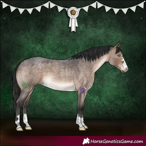 Horse Color:Brown Roan Dun 