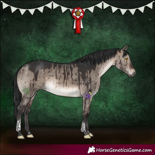 Horse Color:Brown Dun Mushroom Tobiano Brindle