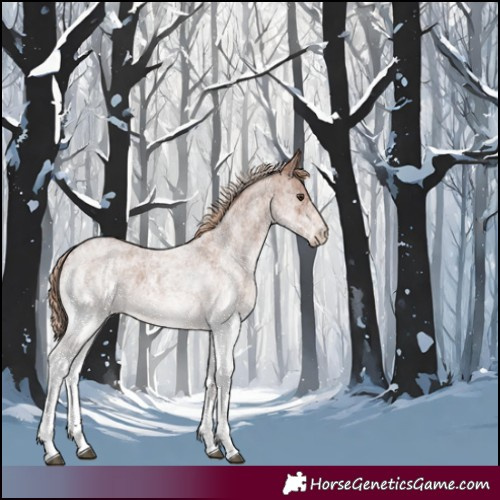 Horse Color:White Spotted Red Roan 