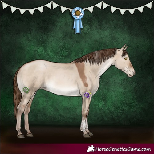 Horse Color:Brown Pearl Dun Tobiano