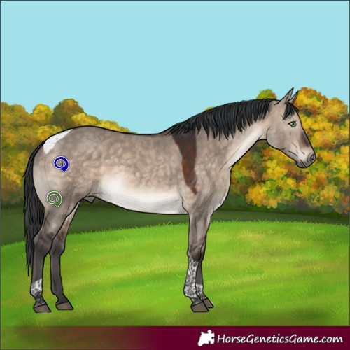 Horse Color:Brown Dun Mushroom Tobiano 