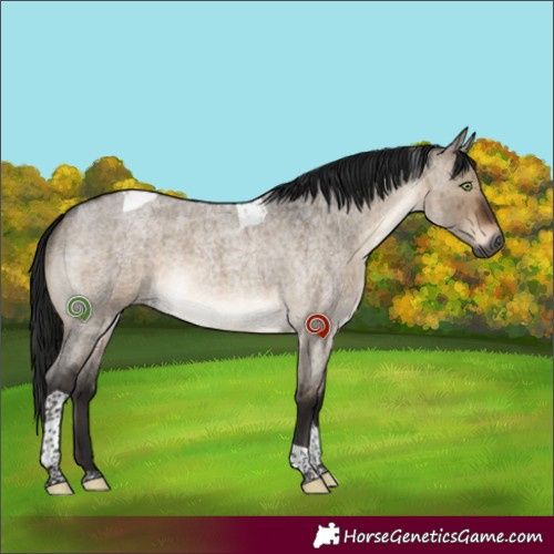 Horse Color:Gray Brown Roan Dun Mushroom Tobiano Brindle
