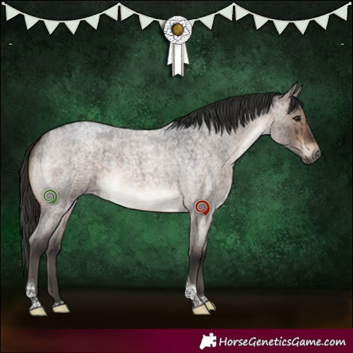 Horse Color:Brown Roan Dun Tobiano Brindle 