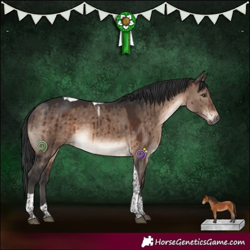 Horse Color:Brown Dun Mushroom Sabino Tobiano Brindle 