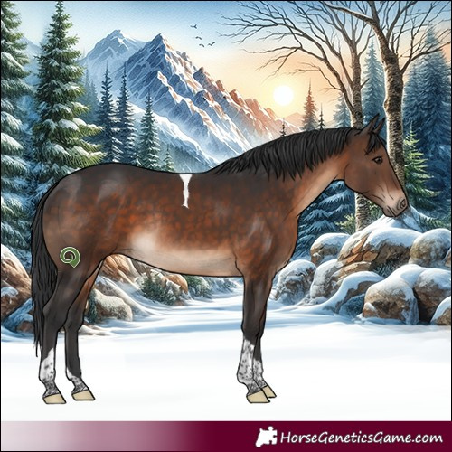 Horse Color:Brown Tobiano Rabicano 
