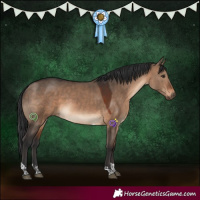 Horse Color:Brown Dun Tobiano 