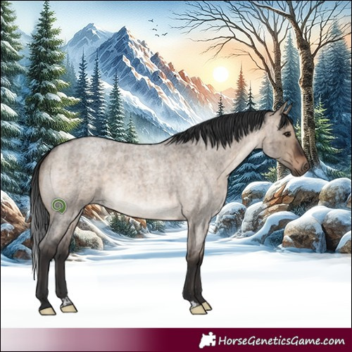 Horse Color:Brown Roan Dun Rabicano Brindle 