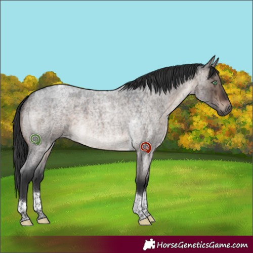 Horse Color:Brown Roan Dun Mushroom Tobiano Brindle