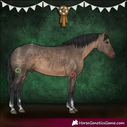 Horse Color:Brown Dun Tobiano 