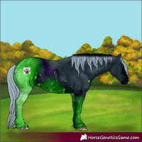Horse Color:ERROR: UNKNOWN ANOMALY