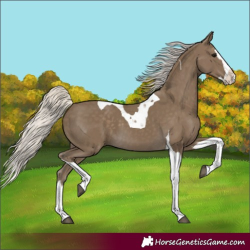 Horse Color:Silver Smoky Black Splash Tobiano 