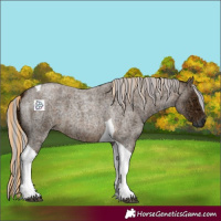 Horse Color:Painted Chocolate Palomino Ice Roan Tobiano 