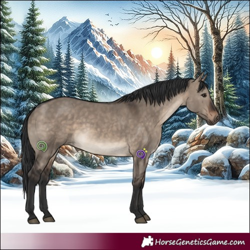 Horse Color:White Spotted Brown Dun