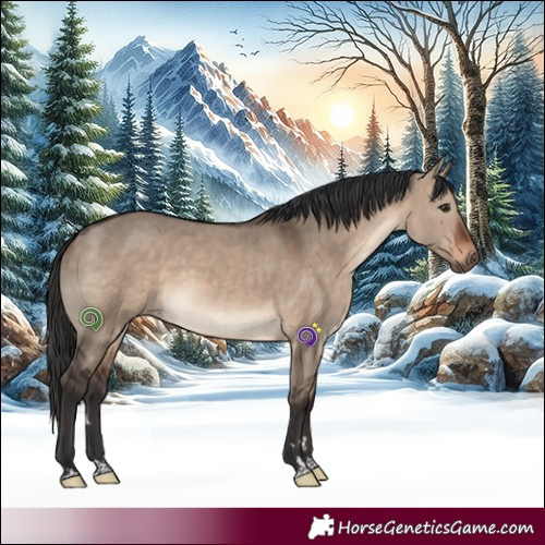 Horse Color:Brown Dun 