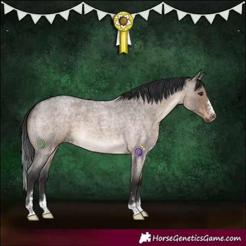 Horse Color:Brown Roan Dun 