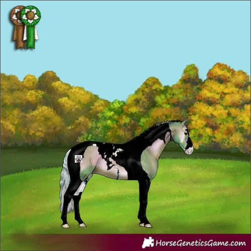 Horse Color:Watercolor White Spotted Silver Bay Onyx Tobiano 