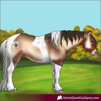 Horse Color:Brown Onyx Tobiano 