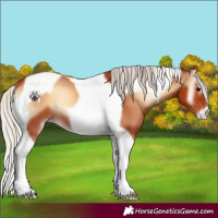 Horse Color:Silver Bay Onyx Tobiano 