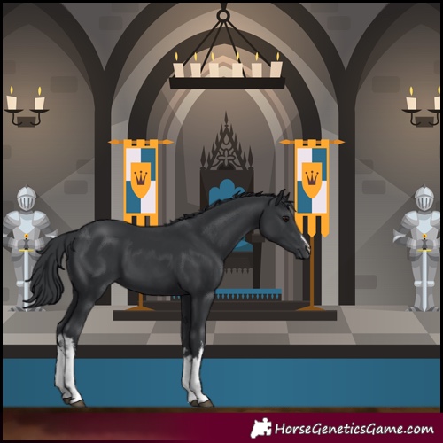 Horse Color:White Spotted Black 