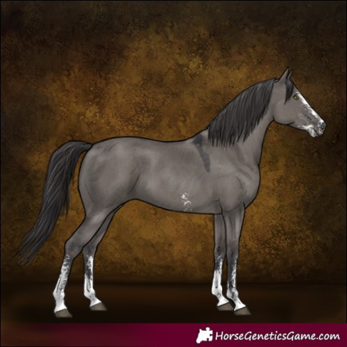 Horse Color:Smoky Grullo Sabino 