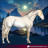 Horse Color:Palomino Roan Frame