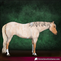 Horse Color:Red Roan Tobiano 