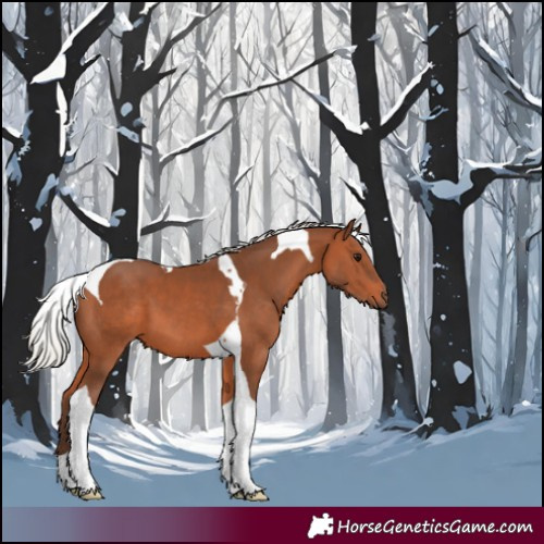 Horse Color:Silver Brown Tobiano 